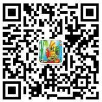 衡水傳博橡塑制品有限公司